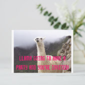 ラマパーティーの招待状 招待状 (スタンド正面)