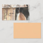 ラマファかわいらしーム動物名刺 名刺 (正面/裏面)