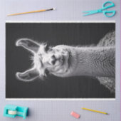 ラマブラック&ホワイトポートレートデコページ 薄葉紙 (クラフト)