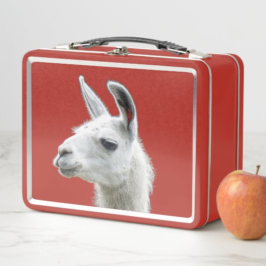 ラマポートレートを覗く深い赤い背景 メタルランチボックス (インサイチュ)