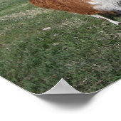 ラマママアンドラマベビー ポスター (角)