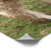 ラマメランジ～プリント ポスター (角)