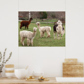 ラマメランジ～プリント ポスター (キッチン)