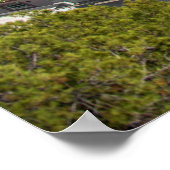 ラマラゲタの闘牛場 ポスター (角)