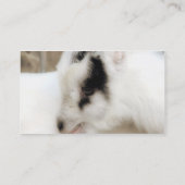 ラマンチャマナー 名刺 (裏面)