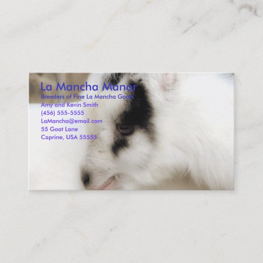 ラマンチャマナー 名刺 (正面)