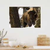 ラマーバレーのビソンイエローストーン国立公園 ポスター (キッチン)