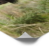 ラマーバレーミニスタンピード ポスター (角)