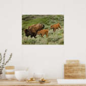 ラマーバレーミニスタンピード ポスター (キッチン)