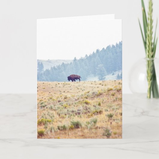 ラマール カード (正面)