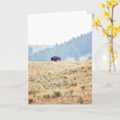 ラマール カード (黄色い花)