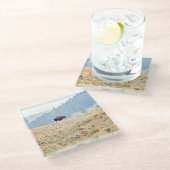 ラマール ガラスコースター (アングル)