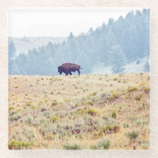 ラマール ガラスコースター (正面)