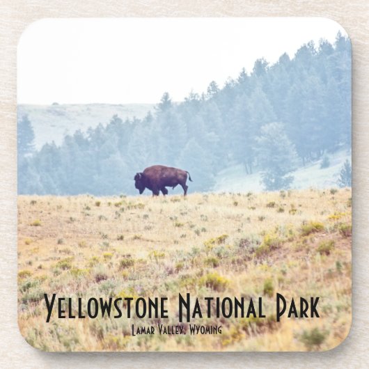 ラマール コースター (正面)