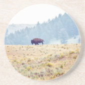 ラマール コースター (正面)