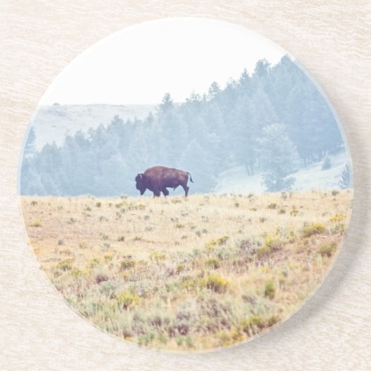 ラマール コースター (正面)