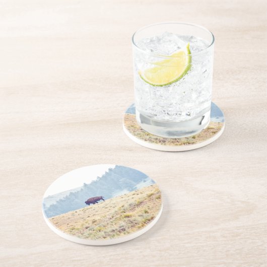 ラマール コースター (側面)