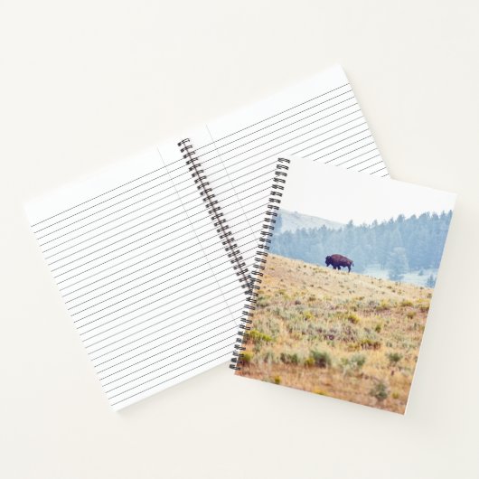 ラマール ノートブック (内部)