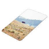 ラマール マグネット (左側)