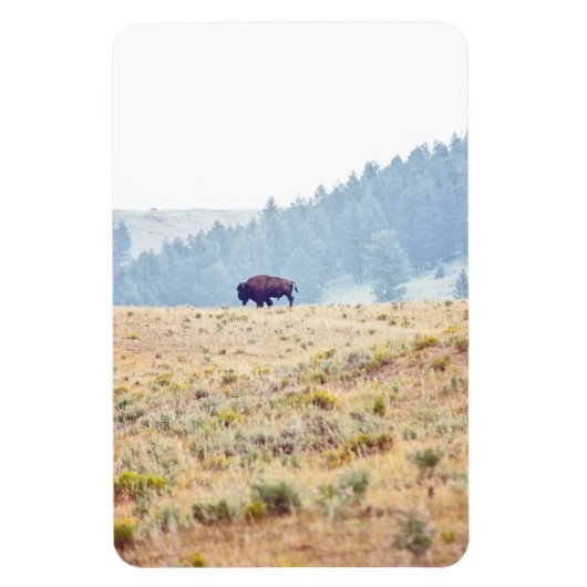 ラマール マグネット (縦)