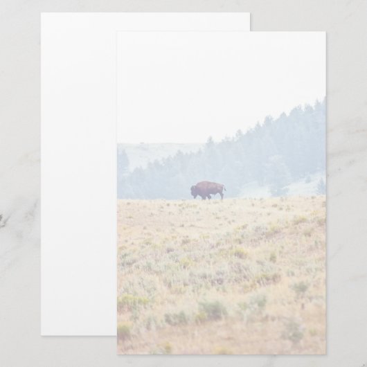 ラマール 便箋 (正面/裏面)