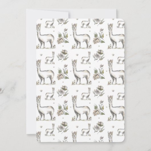 ラマ乳房の水彩ラマのスケッチ赤ちゃんシャワー 招待状 (裏面)