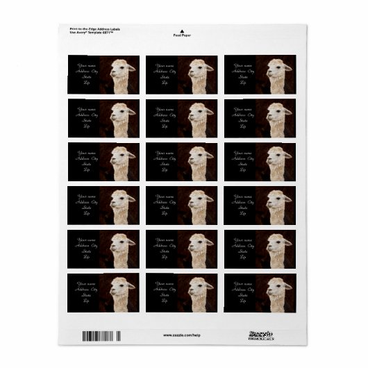 ラマ住所 シール (フルシート)