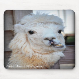 ラマ僧のマウスパッド マウスパッド