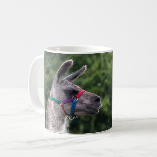 ラマ優位性 コーヒーマグカップ (正面左)
