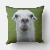 ラマ動物カスタムの運命の運命 クッション (裏面)