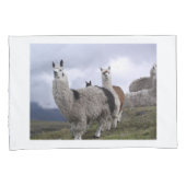 ラマ動物カスタムの運命の運命 枕カバー (正面右)