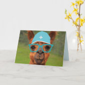 ラマ博士おもしろいが元気 カード (黄色い花)