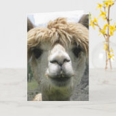 ラマ君のグリーティングカード大好き カード (黄色い花)