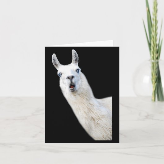 ラマ好きの女性用Tシャツ ラマ好きのための子供用とG カード (正面)