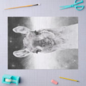 ラマ水彩色 薄葉紙 (クラフト)