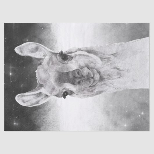 ラマ水彩色 薄葉紙 (正面)