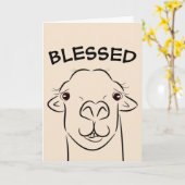 ラマ祝福の誕生日カード カード (黄色い花)