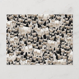 ラマ葉書 ポストカード