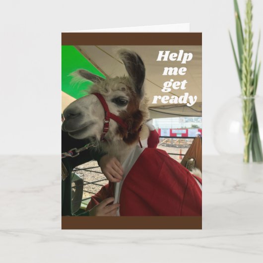 **ラマ間抜け**セーハッピーバースデーカード カード (正面)