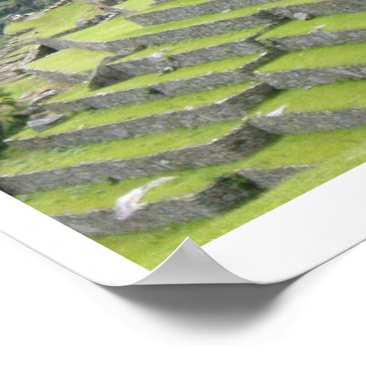 ラマ陸地 ポスター (角)