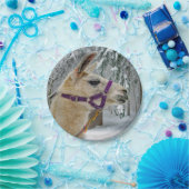 ラマ雪写真 ペーパープレート (パーティー)