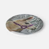 ラマ雪写真 ペーパープレート (アングル)