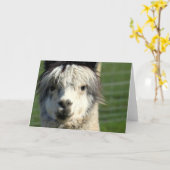 ラマ顔グリーティングカード カード (黄色い花)