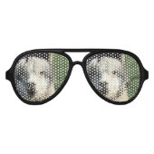 ラマ顔 アビエーターサングラス (正面)