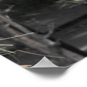 ラマ食べ物を与えス ポスター (角)