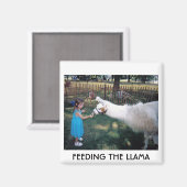 ラマ食べ物を与えーの マグネット (正面/裏面)