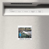 ラマ食べ物を与えーの マグネット (インサイチュ (食洗機))