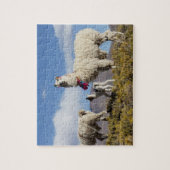 ラマ飾ーはプナ、アンデス山脈で群れている3 ジグソーパズル (縦)