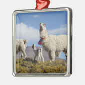 ラマ飾ーはプナ、アンデス山脈で群れている3 メタルオーナメント (左)