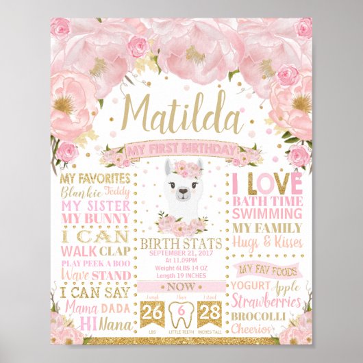 ラマ1歳の誕生日マイルストーン誕生統計サイン ポスター (正面)